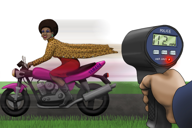 Velocidad is feminine, so it's la velocidad. Imagine a lady getting caught breaking the speed limit.